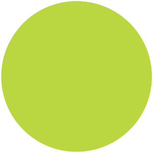 Hi Viz Lime